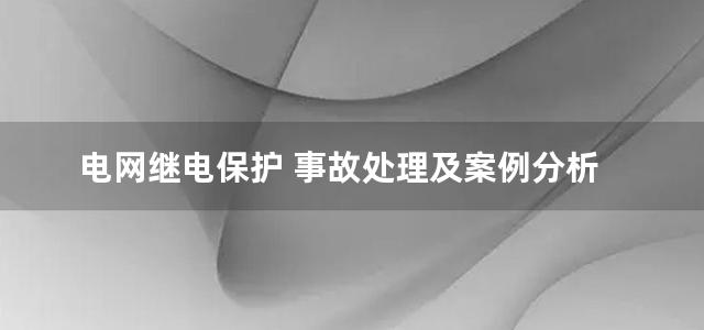 电网继电保护 事故处理及案例分析